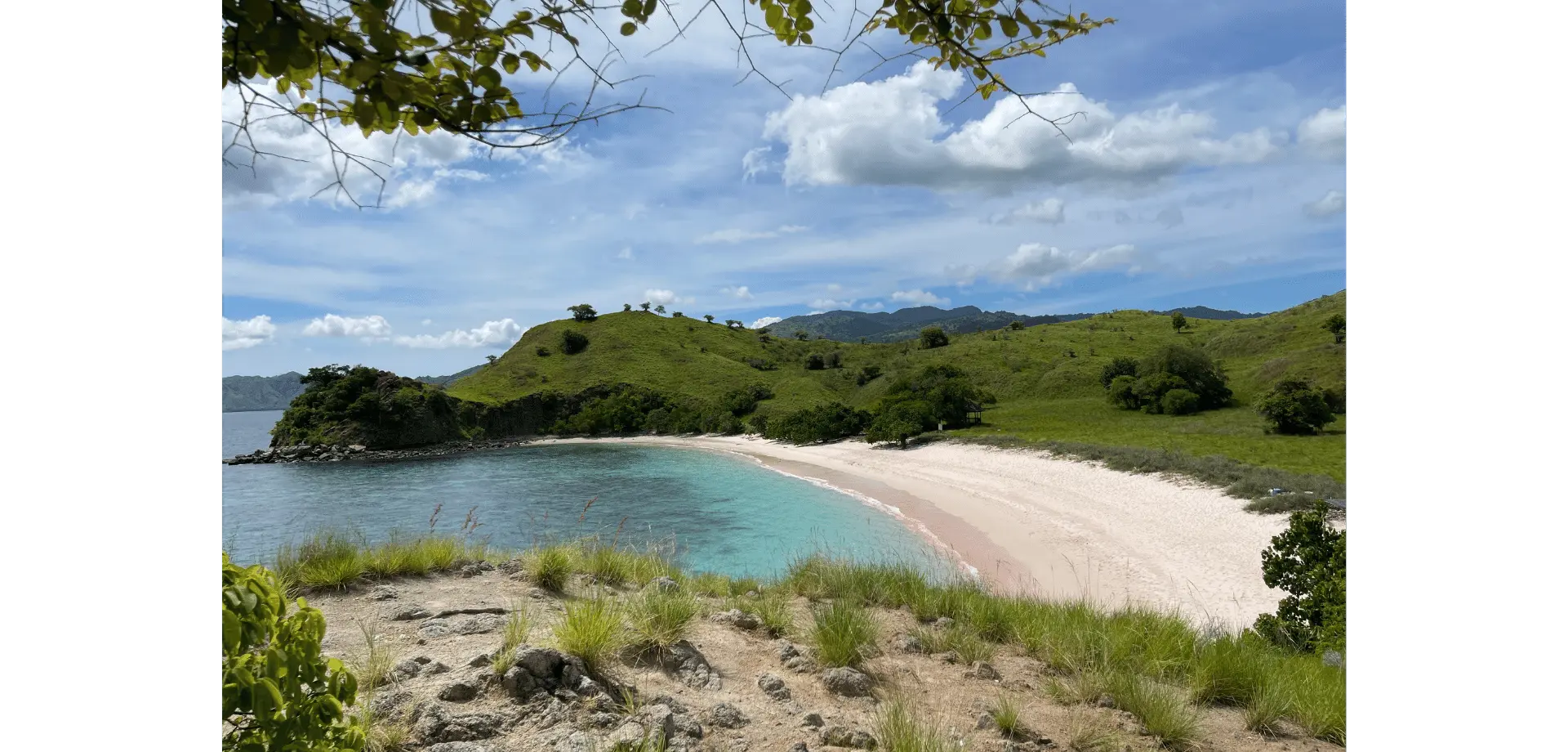 Samsata Tour & Travel